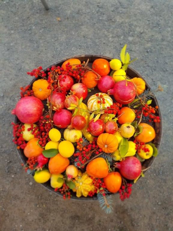 Bountiful Fall Harvest at Tres Sabores